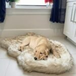 Orthopedic Memory Foam Dog Bed for Large & Medium Dogs – Washable Removable Cover, Anti-Slip Base, Joint Support Pet Bed - Image 4