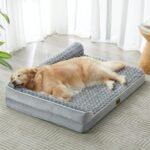 Orthopedic Memory Foam Dog Bed for Large & Medium Dogs – Washable Removable Cover, Anti-Slip Base, Joint Support Pet Bed - Image 2